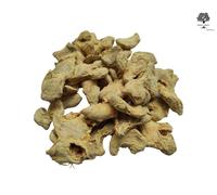 Zenzero Radice Intera 85g - 1,95Kg | Zingiber Officinale