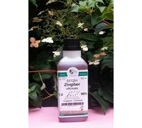 Zenzero (Zingiber Officinale) 1:2 Rapporto - 500ml Tintura Organica