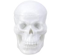 ZEPFJHE Anatomicamente accurato miniatura modello di teschio figura medici strumento di formazione Art Studio di riferimento studio figurina anatomica cranio repliche