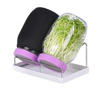 ZEPFJHE Set di germogli impilabili in vetro con base ventilata e manicotto ombreggiante, adatto per erba medica, fagioli verdi, vaso per germogliare il giardinaggio indoor con supporto