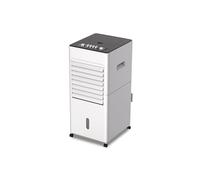 Zephir, Raffrescatore ad Acqua, Tanica 6L, 3 Velocità, Utilizzo con Acqua e/o Ghiaccio, Alette di Oscillazione Automatica, 2 Mattonelle Refrigeranti Incluse, Potenza 80W