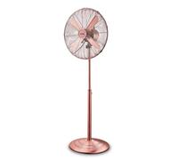 Zephir Ventilatore a Piantana, Pale ø 40 cm Oscillante 3 Velocità colore Bronzo, PFV41BR