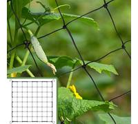 ZEPIQOR Rete Scrog Rete Elastica per Piante 80x80 Rete di Supporto per Piante da Tenda con 4 ganci Rete in Nylon per Frutteto per Verdure Fiori di Frutta Piante da Interno