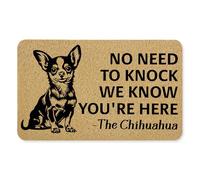 Zerbini No Need To Knock We Know You're Here Zerbino per Porta Lavabile in Lavatrice Zerbino Super Assorbente Tappeti per Corridoio Ingresso Camera da Letto 40X60 Cm