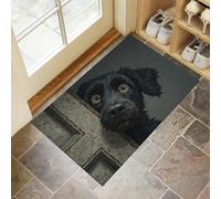 Zerbini per Interni 90x150 cm, Zerbino Trappola Sporco Il Cane Nero Fece Capolino., Tappetino Dipinti Ad Olio Surrealisti Antiscivolo Lavabile Tappeti Basso Profilo per Ingresso, Cucina, Bagno,