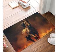 Zerbino assorbente, antiscivolo, 40 x 60 cm, in flanella, per esterni, porta d'ingresso, resistente, lavabile, per cucina, patio, portico