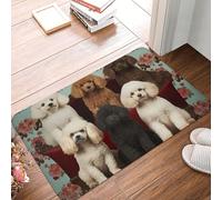 Zerbino assorbente antiscivolo tappetino di benvenuto per tutte le stagioni resistente tappetino barboncini cani zerbino anteriore basso profilo portico ingresso tappeti cucina per ingresso bagno 59,9