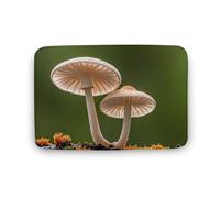 Zerbino assorbente da bagno, tappetino di benvenuto per esterni, antiscivolo, morbido, tappeto da bagno, 40 x 60 cm, tappetino per ingresso piante funghi, tappeto lavabile, tappeto per interni