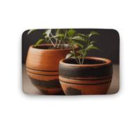 Zerbino assorbente da bagno, tappetino di benvenuto per esterni, antiscivolo, morbido, tappeto da bagno, 50 x 80 cm, tappetino per porta d'ingresso, piccolo vaso di argilla, lavabile, tappeto per