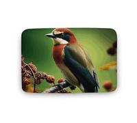 Zerbino assorbente da bagno, tappetino di benvenuto per esterni, antiscivolo, morbido, tappeto da bagno, 40 x 60 cm, tappetino per porta d'ingresso, con uccello sull'albero, lavabile, tappeto per