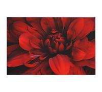 Zerbino assorbente per porta anteriore, antiscivolo, tappetino di benvenuto per interni ed esterni, motivo floreale rosso su sfondo nero, a basso profilo, lavabile, per garage, giardino, patio
