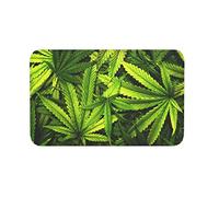 Zerbino Bella Foglia di Marijuana Zerbino di Benvenuto Antisporco Zerbino Ingresso Esterno Divertenti Tappeto Esterno per Nuova Casa Soggiorno Giardino 40X60Cm