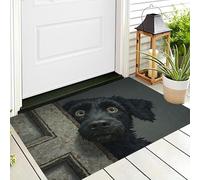 Zerbino Cane Nero Che Fa Capolino, Ingresso Esterno E Interno, 60 x 90 cm Tappeto Divertente Dipinto Ad Olio Di Un Animale Antipolvere Tappeto Ingresso Casa Resistente Zerbino per Soggiorno
