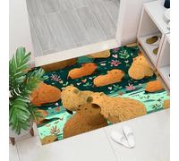 Zerbino Cartone animato carino da Esterno - Tappeto Esterno Modello del capibara Antiscivolo Welcome,Decorazioni per Casa per Camera Giardino Ufficio,Aula Scuola Appartamento Completo