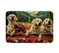 Zerbino Catoon Dogs Happy Camping Cute Pets Animals Tappetino Entrata Stampata Antipolvere Zerbini Di Benvenuto Per Posteriori Esterno 40X60Cm