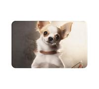 Zerbino cattura sporco, 49,5 x 80 cm, antiscivolo, lavabile, motivo: chihuahua, per interni ed esterni, assorbente, a basso profilo, in flanella