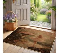 Zerbino con fatina primaverile, motivo ballerina di pesche, per ingresso esterno e interno, decorazione romantica, in gomma, impermeabile, antiscivolo, assorbe la polvere, facile da pulire, 73 x 43 cm