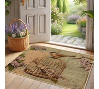 Zerbino con gabbia per uccelli, vintage, per ingresso di casa e giardino, comodo, decorativo, antiscivolo, impermeabile, cattura lo sporco, facile da pulire, 73 x 43 cm