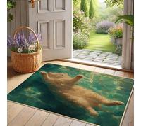 Zerbino con grazioso gatto, motivo felino dorato, per esterni e interni, decorazione primaverile, antiscivolo, impermeabile, facile da pulire, 73 x 43 cm