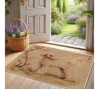 Zerbino con motivo barboncino a fiori primaverili per ingresso esterno e interno, decorazione rustica, gomma impermeabile, antiscivolo, assorbe la polvere, facile da pulire, 73,6 x 43,2