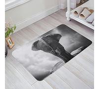 Zerbino Da Esterno 40X60Cm, Elephant Mom/Day And Elephant Cliff Top Grey Cloud Tappetino Porta Classico Tappeto Da Cucina Per Casa Cortile Esterno