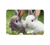 Zerbino Da Esterno Two Little Cute Rabbits, Resistente Tappetino Porta Multiuso Tappeto Doccia 40X60Cm Per Camera Cucina Giardino
