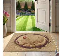 Zerbino da gallina primaverile zerbino naturale gallina e uova per ingresso esterno ed interno, decorazione fattoria, antiscivolo, impermeabile, resistente allo sporco, facile da pulire