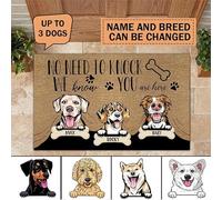 Zerbino Di Benvenuto Antisporco Tappeto Ingresso Casa Resistente Tappetini Porta Dingresso Per Camera Letto Interno Soggiorno 40X60Cm Cane Non C'È Bisogno Di Bussare