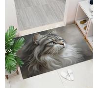 Zerbino Di Benvenuto Con Ritratto Di Un Gatto Maine Coon, Per Pavimento, Antiscivolo, Zerbino Ingresso Animale Carino E Realistico Decorativo per Porta D'ingresso, Veranda, Casa, Cucina, 60 x 90 cm
