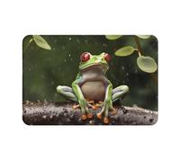 Zerbino Esterno Peace Tree Frog, Morbido Tappetino Da Bagno Lavabile Tappeto Da Cucina 40X60Cm Per Ingresso Cortile Terrazzo