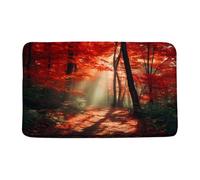 Zerbino Fall Red Maple Tree Fallen Leaves Misty Sunshine Autumn Nature Scenery Landscape Romantic Seasonal Tappeto Bagno Assorbente Zerbino da Interni, per Camera, Soggiorno, Bambini, 40x60cm