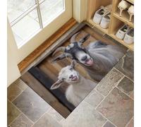 Zerbino Fotografia Di Animali Capre E Agnelli per Ingresso 45 x 75 cm, Antiscivolo e Resistente, Assorbe Acqua e Sporco, Facile da Pulire, Ideale per Porta, Corridoio e Casa,Bianco Grigiastro