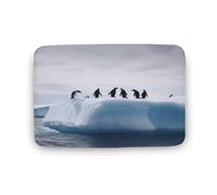 Zerbino in velluto di corallo, con pinguini sull'iceberg, morbido, spesso, per gattonare, per camera da letto, soggiorno, antiscivolo, assorbente, lavabile in lavatrice, 40 x 60 cm