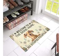 zerbino ingresso casa Benvenuti allo zerbino Doxie Home No Stupid People