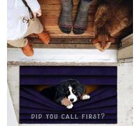 zerbino ingresso casa Cane da montagna bernese, hai chiamato il primo zerbino?