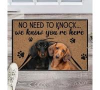 zerbino ingresso casa Cani, non c'è bisogno di bussare, sappiamo che siete qui. Zerbino