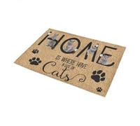 zerbino ingresso casa Cat Home è il posto dove ci sono molti gatti Zerbino