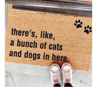 zerbino ingresso casa Ci sono come un branco di gatti e cani qui Zerbino