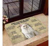 zerbino ingresso casa Gatto bianco quando visita la mia casa Zerbino