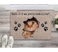 zerbino ingresso casa Gatto Ciao Sono Io? Stai cercando uno zerbino per interni ed esterni?