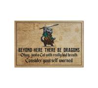 zerbino ingresso casa Gatto con la spada oltre qui ci sono draghi zerbino