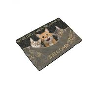 zerbino ingresso casa Gatto, sei esattamente dove devi essere, zerbino