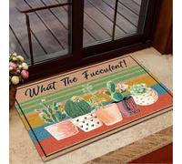 zerbino ingresso casa Giardino Che cosa Il cactus fucculento Piante succulente Giardinaggio Zerbino vintage