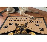 zerbino ingresso casa Gli ospiti devono essere approvati dal pastore tedesco