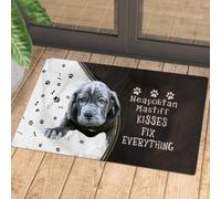 zerbino ingresso casa I baci del mastino napoletano aggiustano tutto lo zerbino