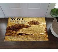 zerbino ingresso casa Il Golden Retriever di famiglia è amato dalla bambina sullo zerbino