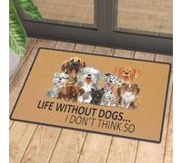 zerbino ingresso casa La vita senza cani non la penso così Zerbino