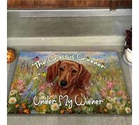 zerbino ingresso casa L'erba del vicino è più verde sotto il mio bassotto - Zerbino bassotto