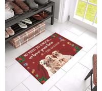 zerbino ingresso casa Lo zerbino dorato Conosci il tuo posto qui