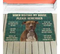 zerbino ingresso casa Per te sono il cane, ma eccomi qui, lo zerbino di benvenuto per bambini.